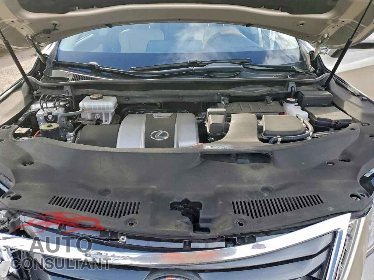 LEXUS RX450 2019 - 2T2BGMCA0KC033584