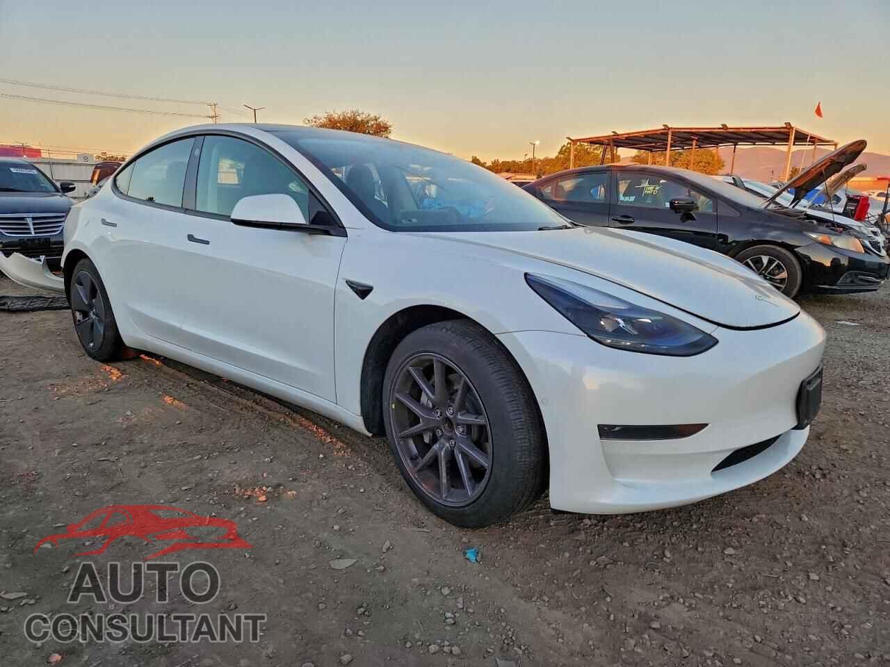 TESLA MODEL 3 2021 - 5YJ3E1EA9MF095753
