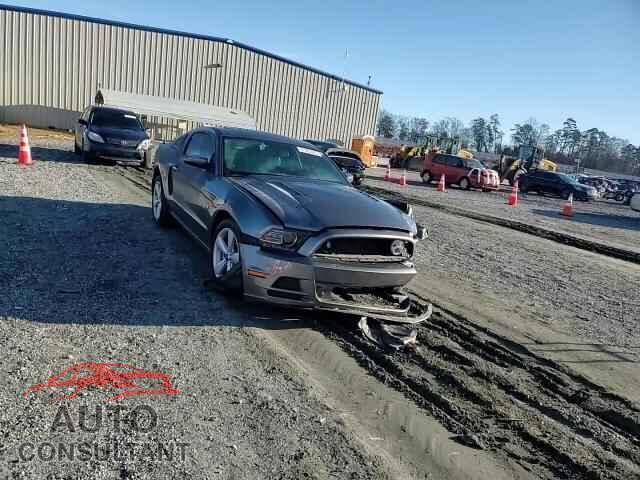 FORD MUSTANG 2014 - 1ZVBP8CF9E5281953