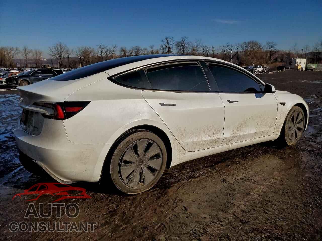 TESLA MODEL 3 2024 - 5YJ3E1EB7RF796405