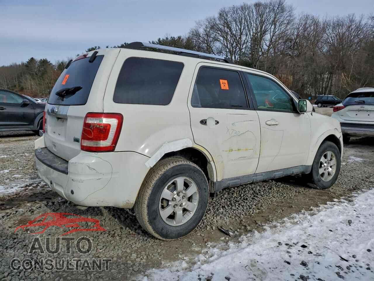 FORD ESCAPE 2011 - 1FMCU9EG7BKA30692