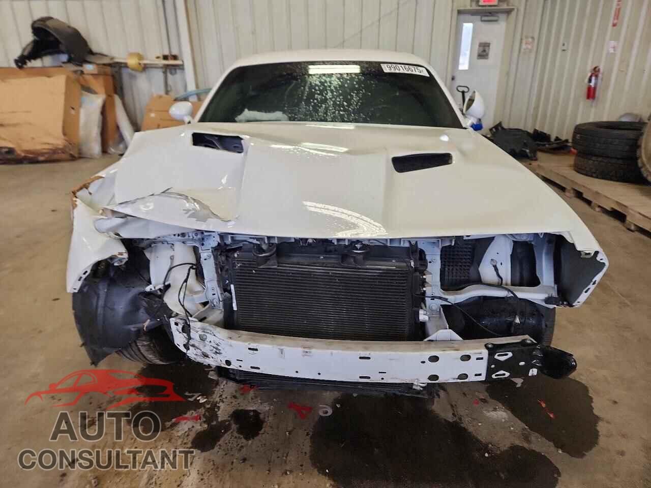 DODGE CHALLENGER 2019 - 2C3CDZAG2KH623270