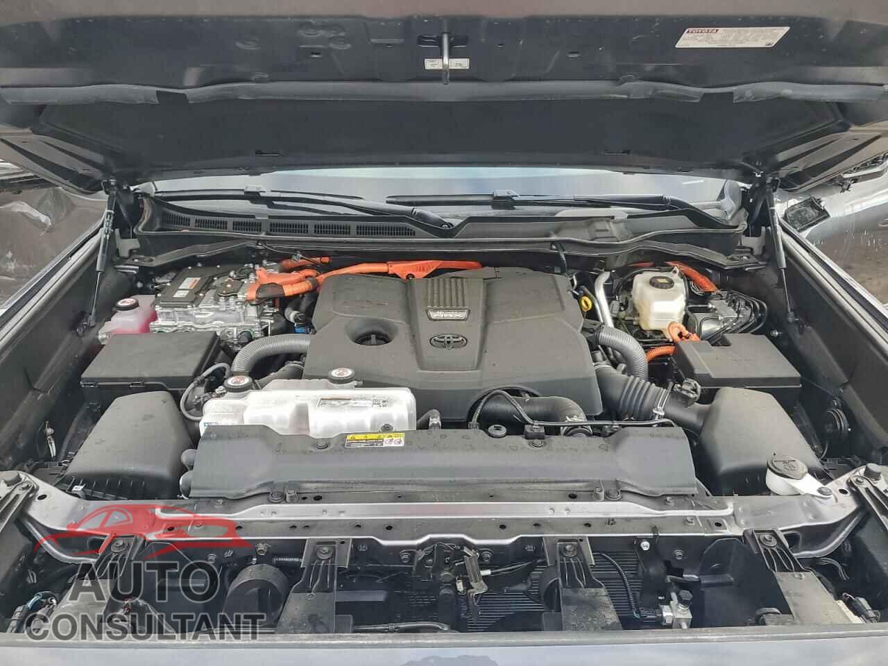 TOYOTA SEQUOIA 2025 - 7SVAAABA9SX056581
