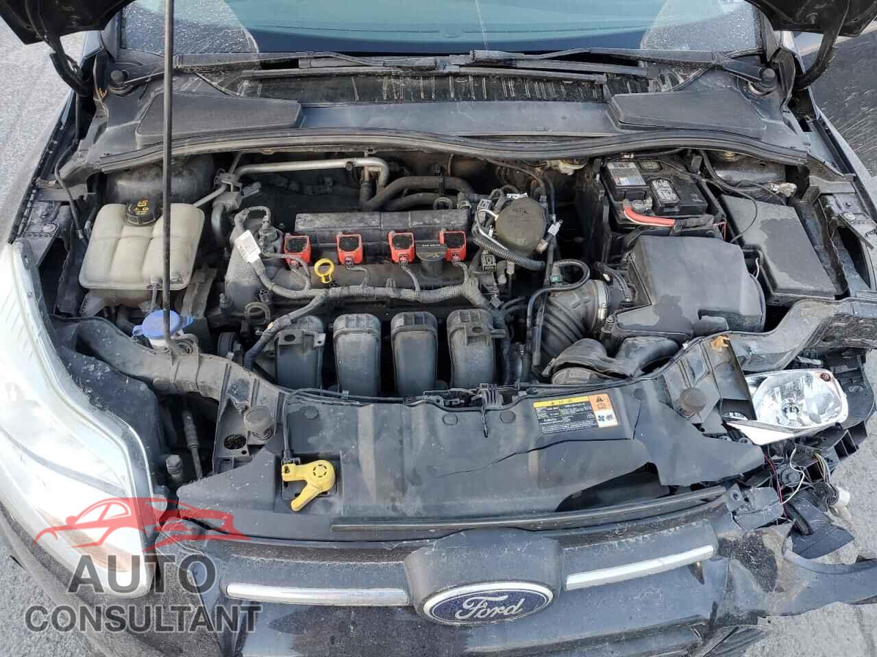 FORD FOCUS 2014 - 1FADP3K20EL164762
