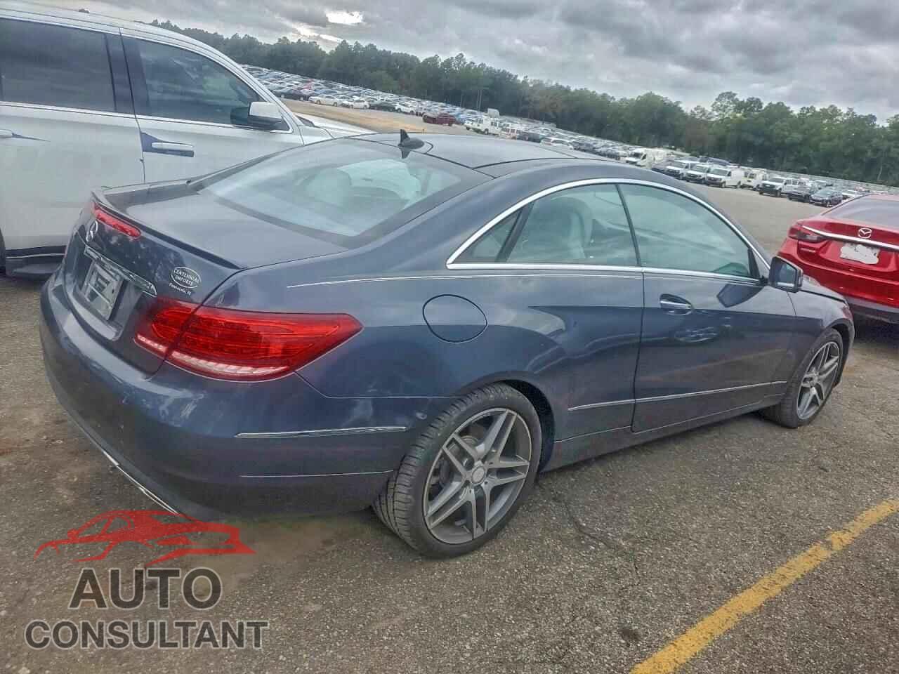 MERCEDES-BENZ E-CLASS 2014 - WDDKJ5KB2EF282962