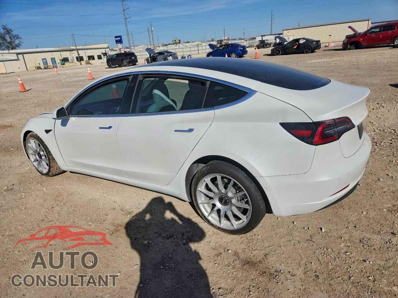 TESLA MODEL 3 2019 - 5YJ3E1EA3KF313019