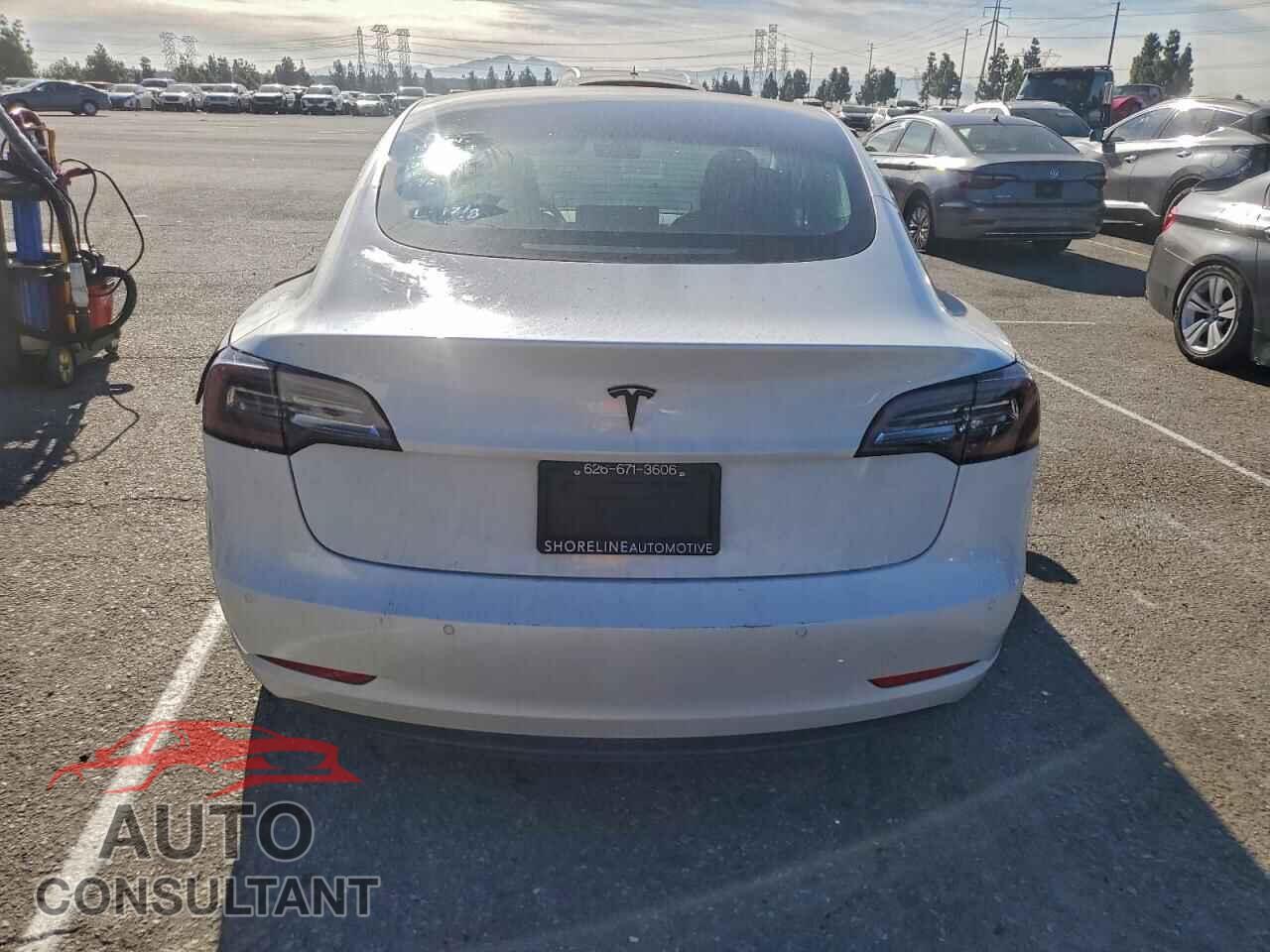 TESLA MODEL 3 2021 - 5YJ3E1EA0MF091011
