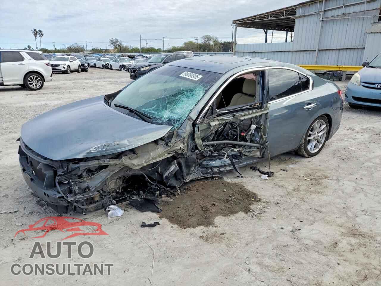 NISSAN MAXIMA 2010 - 1N4AA5AP2AC808317