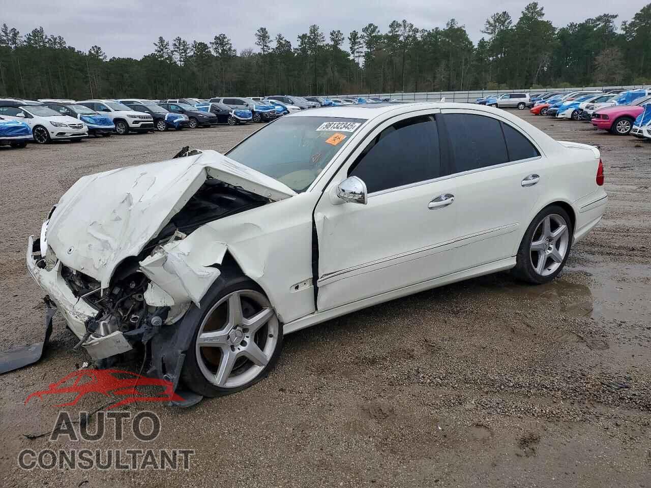 MERCEDES-BENZ E-CLASS 2009 - WDBUF87X99B384541