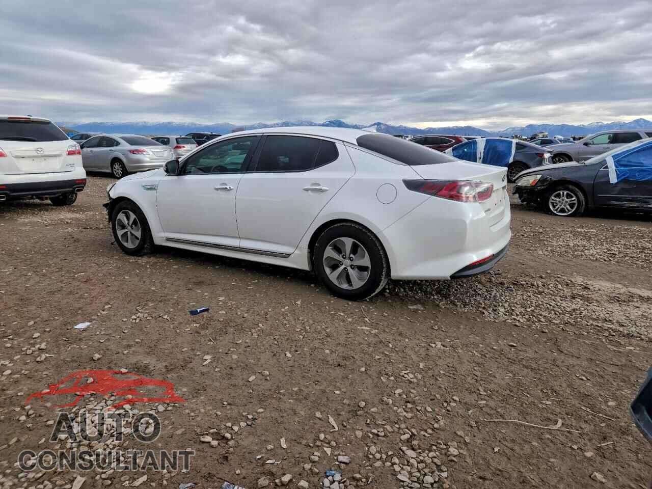 KIA OPTIMA 2015 - KNAGM4AD2F5083595