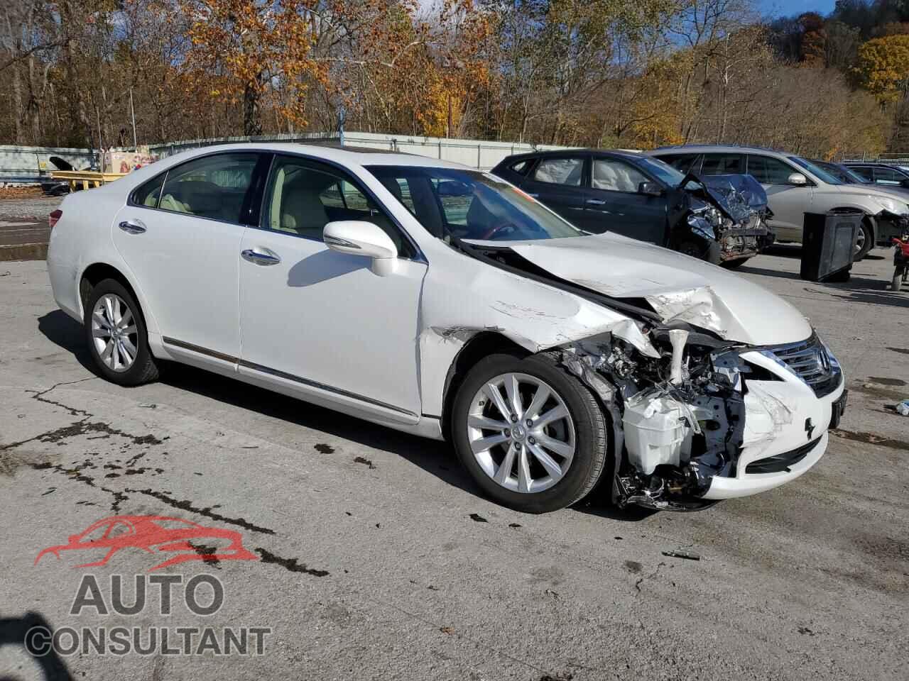 LEXUS ES350 2011 - JTHBK1EG2B2464346