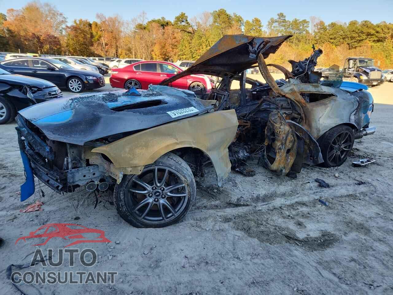FORD MUSTANG 2013 - 1ZVBP8CF3D5256223