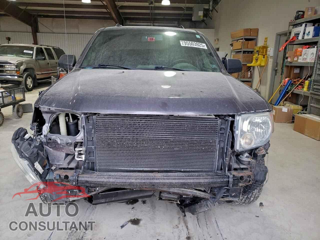 FORD ESCAPE 2010 - 1FMCU9D79AKB95403