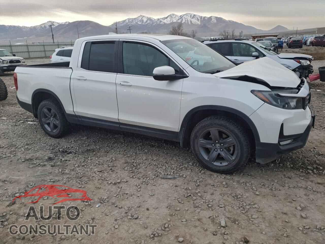 HONDA RIDGELINE 2021 - 5FPYK3F54MB006867