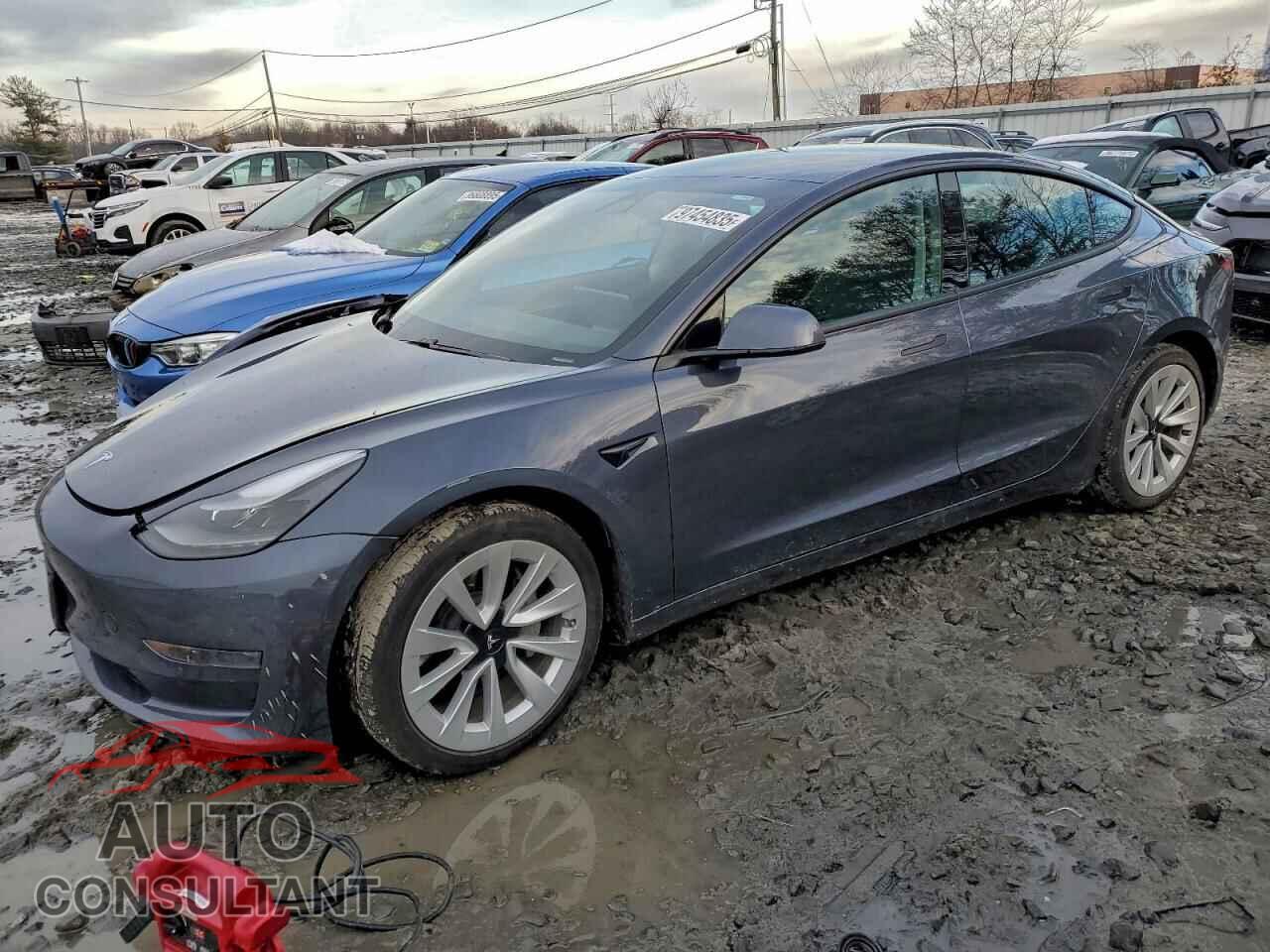 TESLA MODEL 3 2021 - 5YJ3E1EA1MF021064