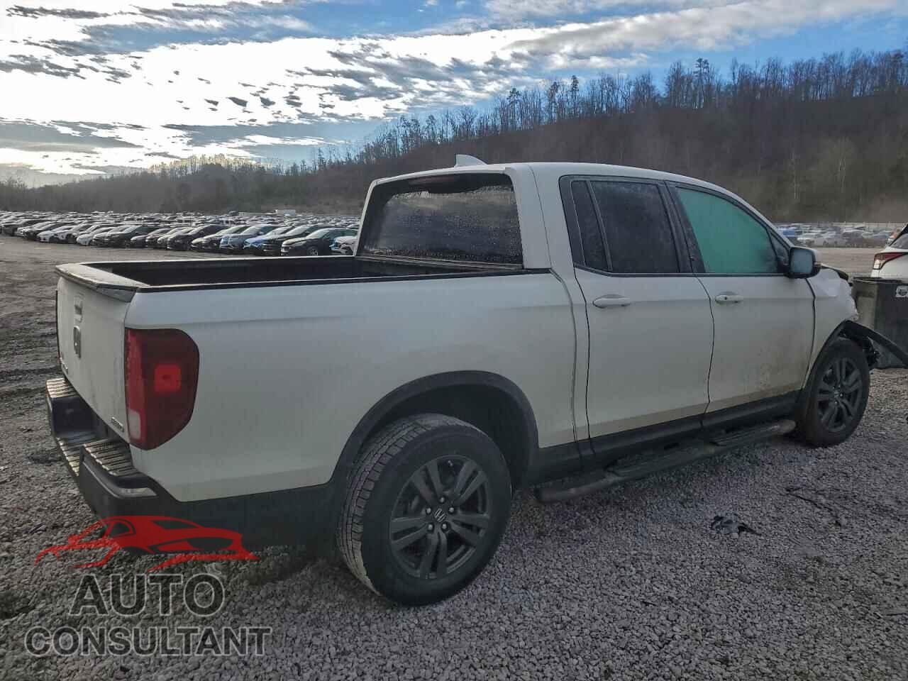 HONDA RIDGELINE 2019 - 5FPYK3F17KB042899