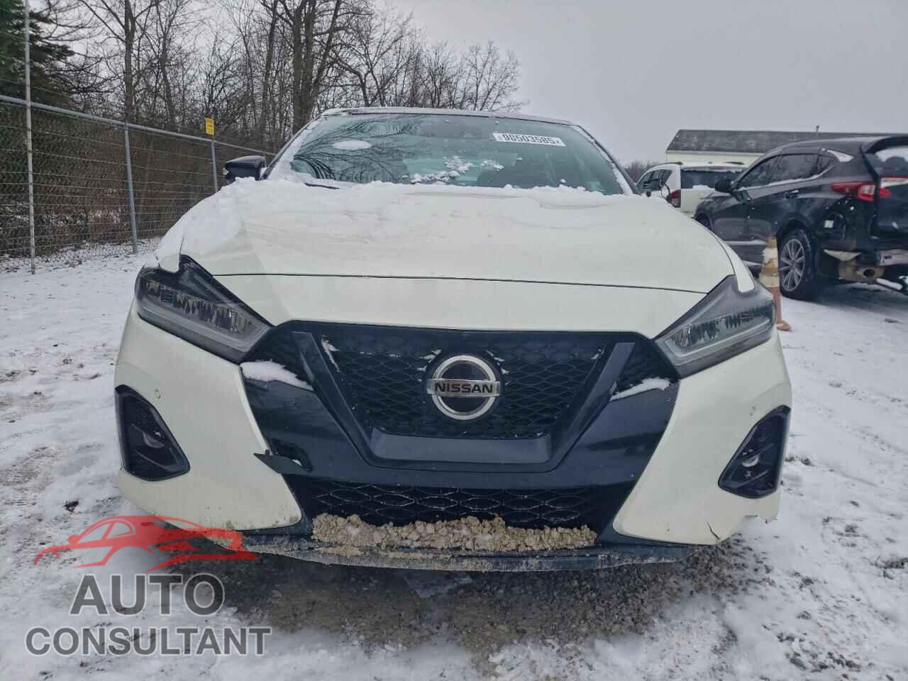 NISSAN MAXIMA 2021 - 1N4AA6EV2MC505055