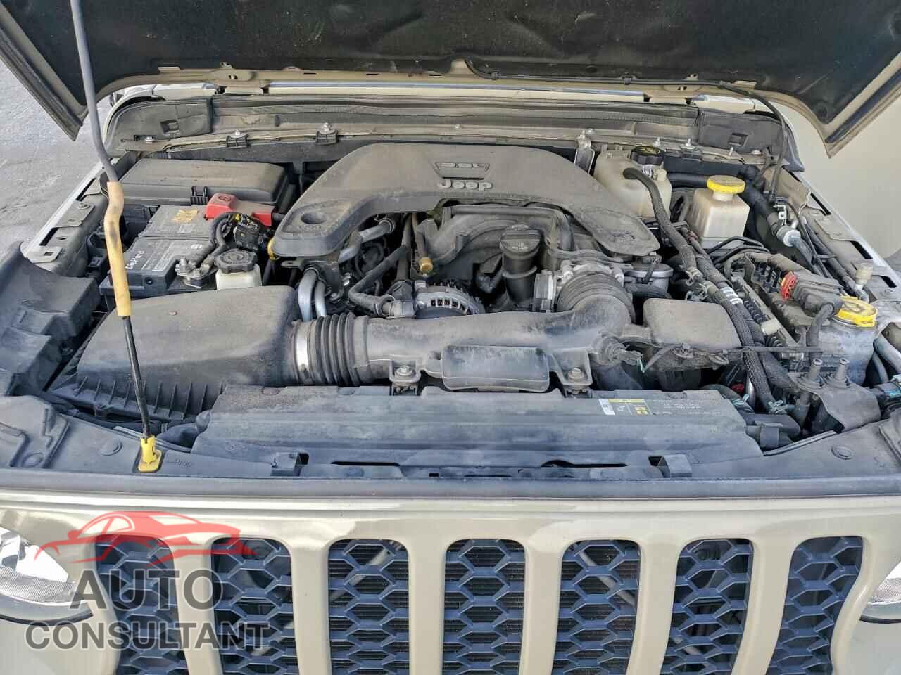 JEEP GLADIATOR 2020 - 1C6HJTAGXLL169367