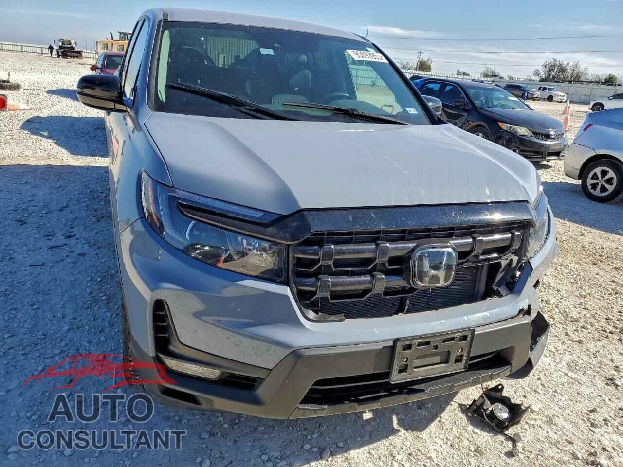 HONDA RIDGELINE 2024 - 5FPYK3F12RB032193