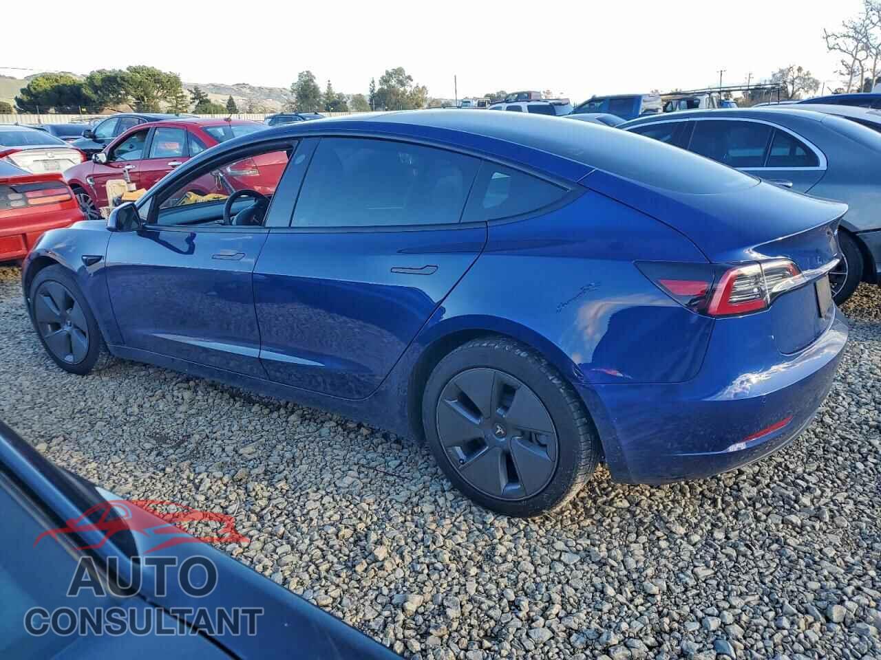 TESLA MODEL 3 2022 - 5YJ3E1EBXNF201170