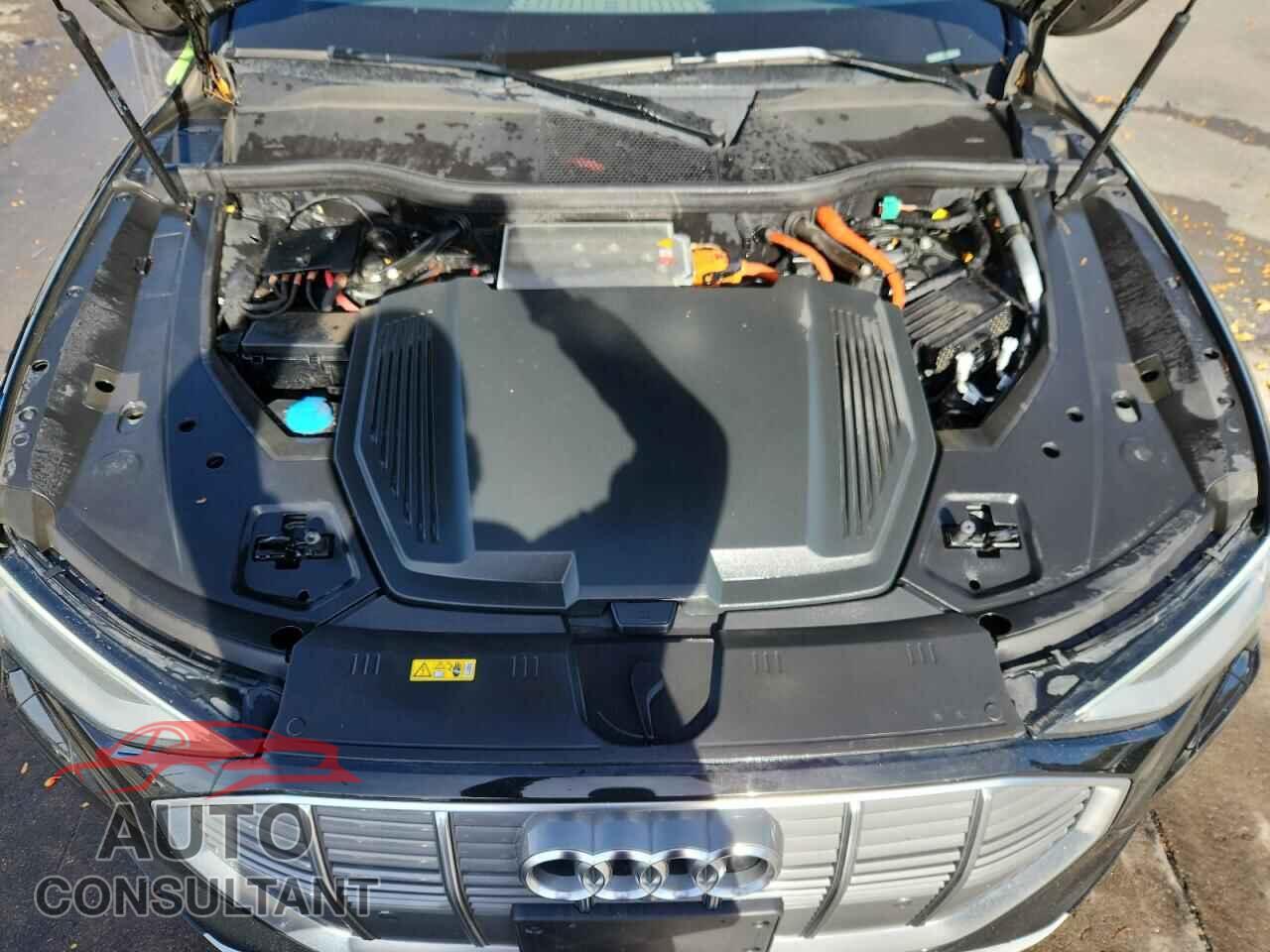 AUDI E-TRON 2022 - WA1LAAGE6NB011026