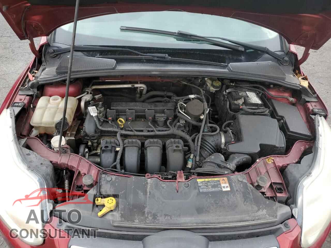 FORD FOCUS 2014 - 1FADP3F23EL223149