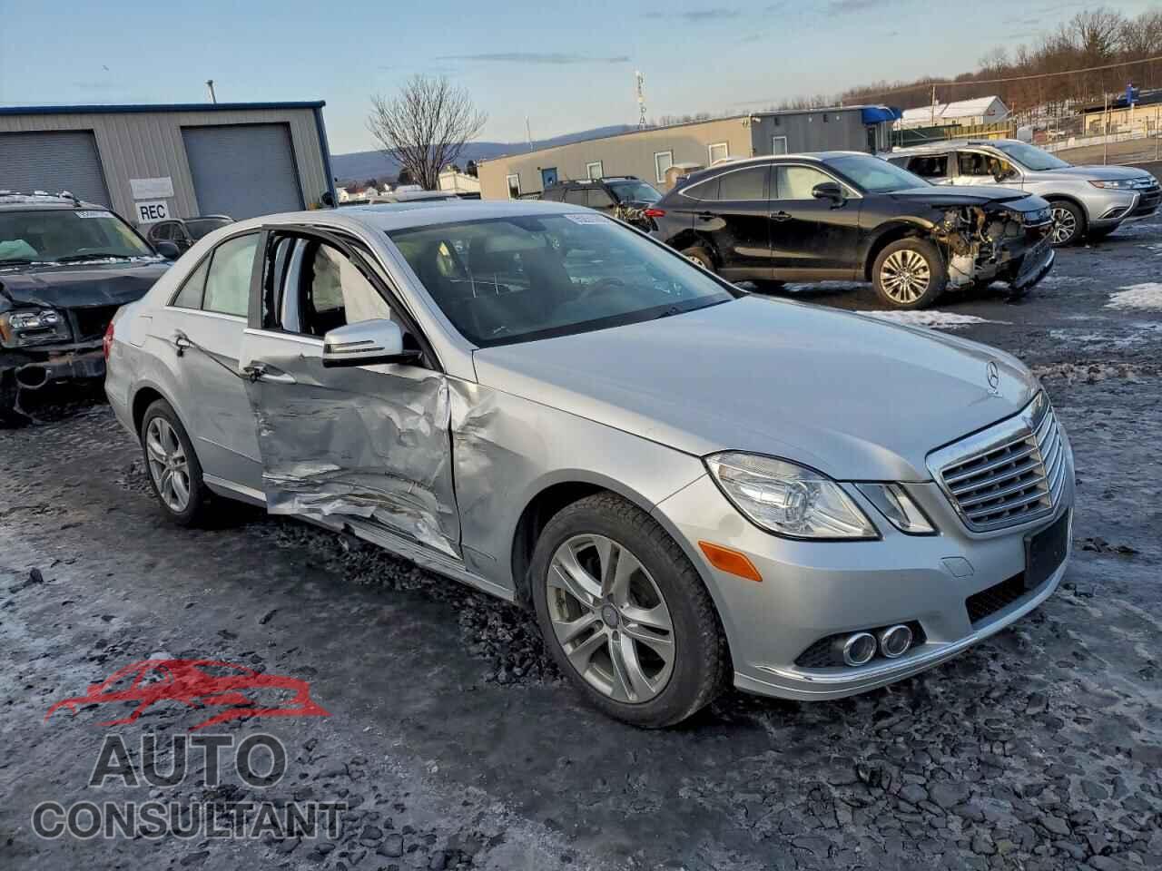 MERCEDES-BENZ E-CLASS 2010 - WDDHF8HB2AA167824