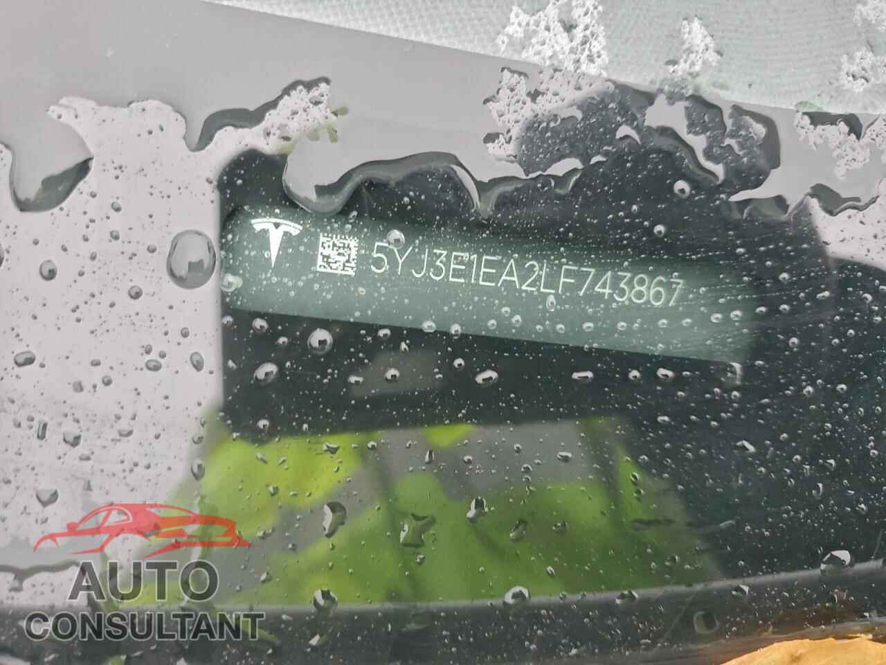 TESLA MODEL 3 2020 - 5YJ3E1EA2LF743867