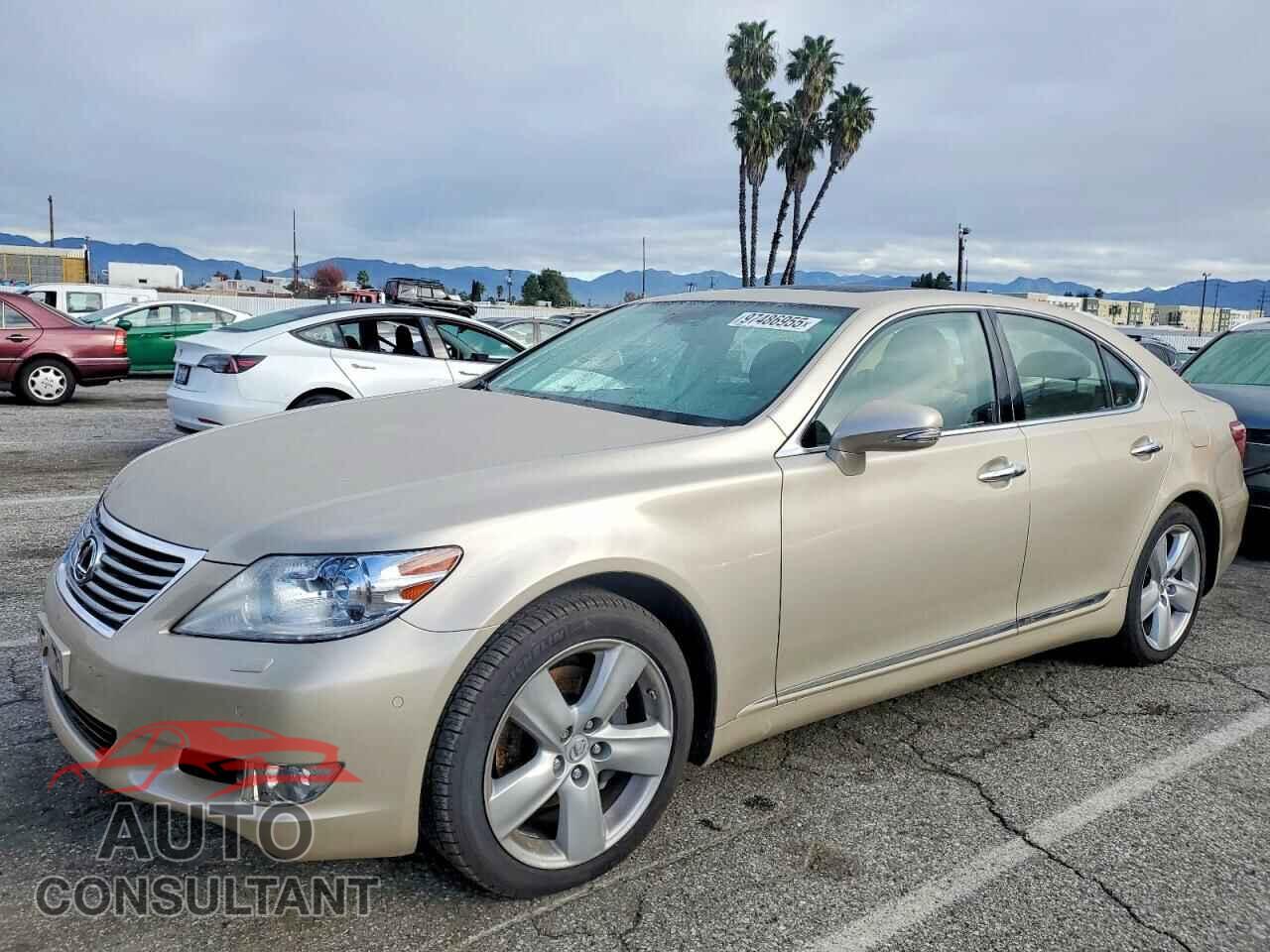 LEXUS LS460 2012 - JTHBL5EF5C5111210