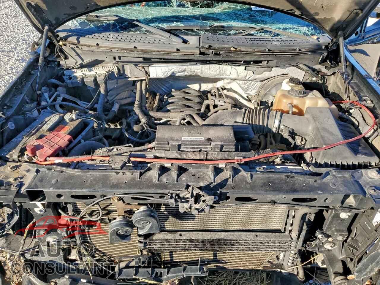 FORD F-150 2011 - 1FTFW1CF6BFD10281