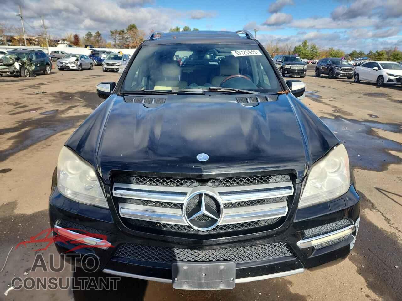 MERCEDES-BENZ GL-CLASS 2010 - 4JGBF7BE9AA555982