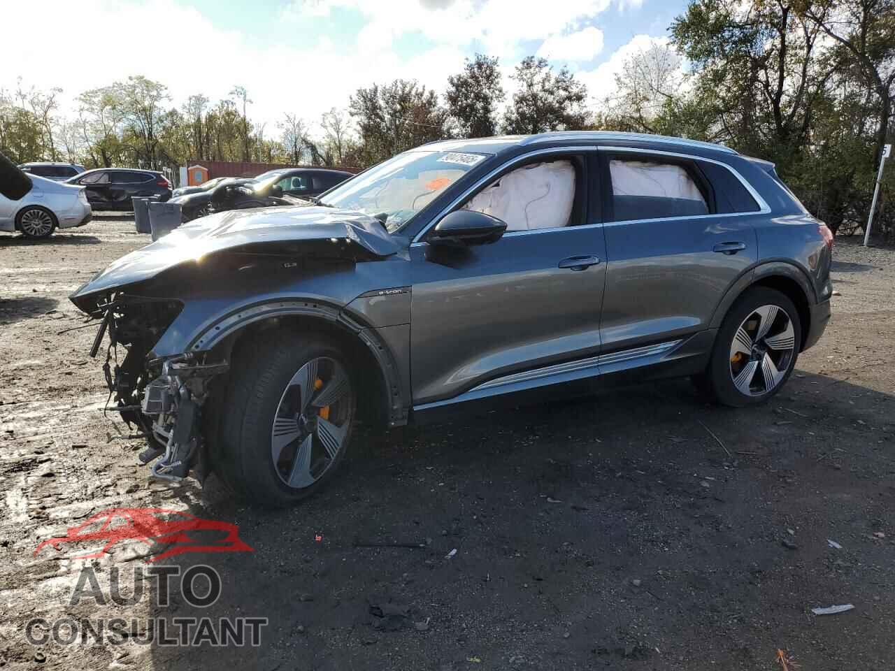 AUDI E-TRON 2019 - WA1VAAGE2KB006605