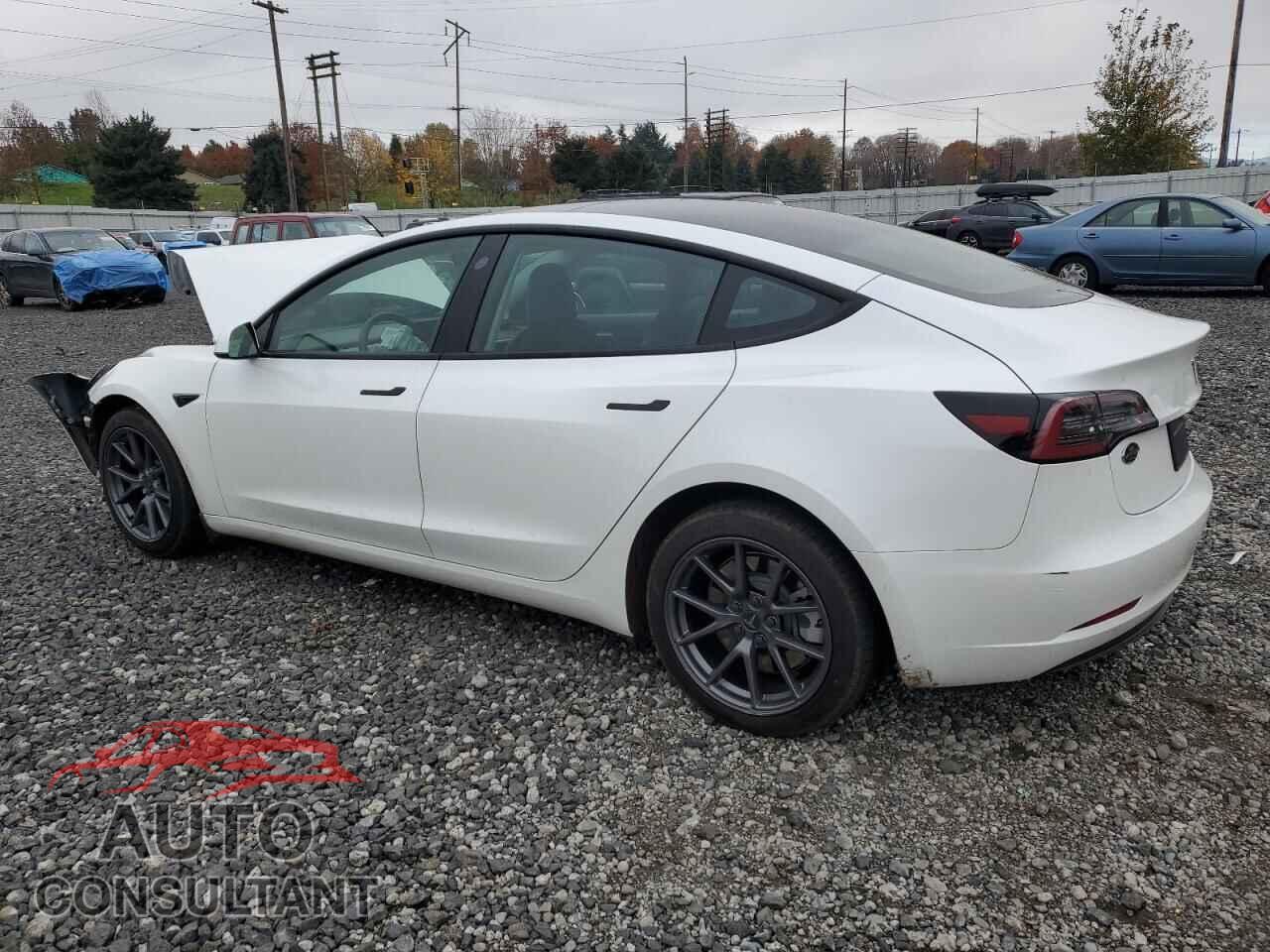 TESLA MODEL 3 2021 - 5YJ3E1EA7MF054134