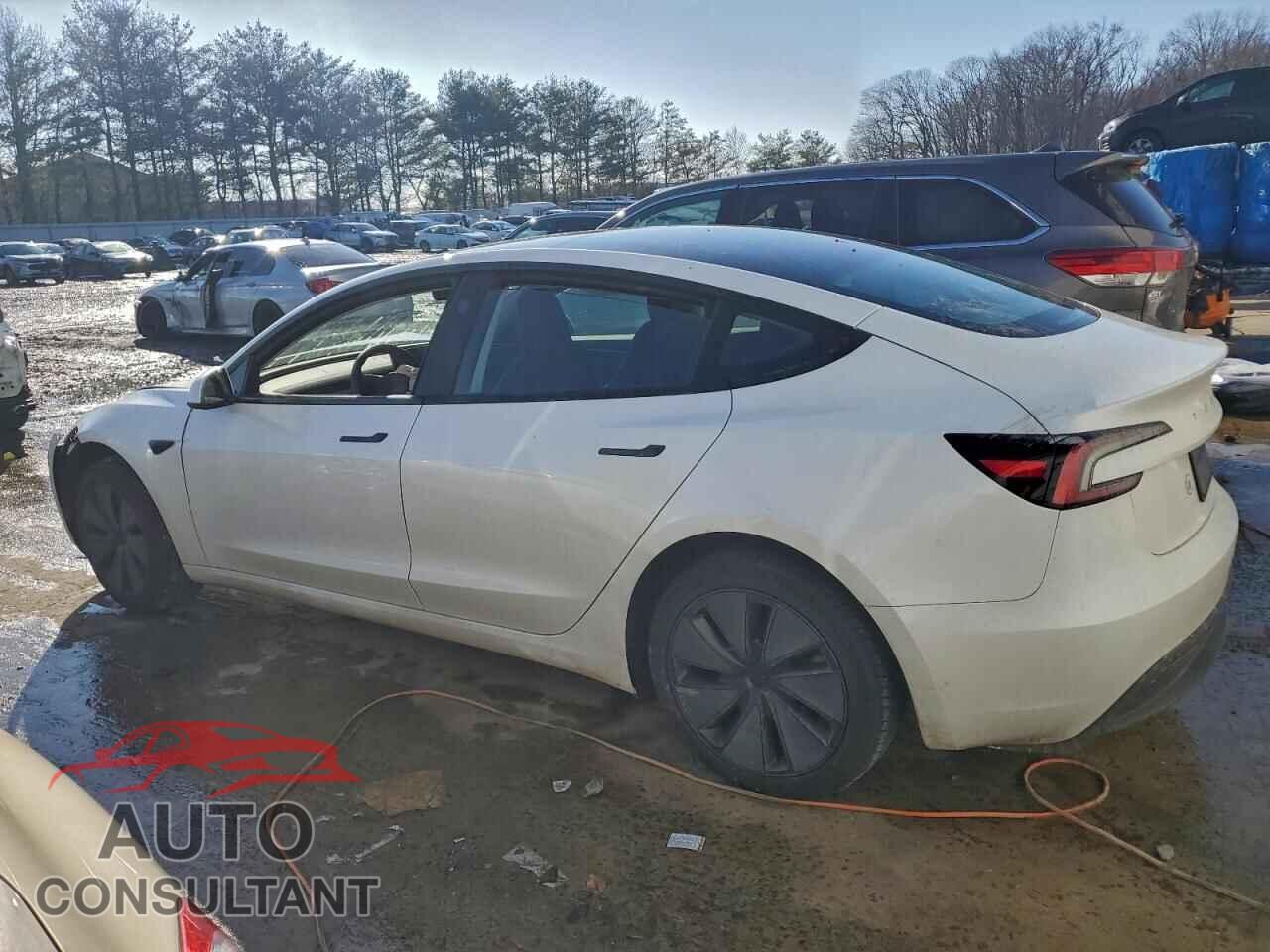 TESLA MODEL 3 2025 - 5YJ3E1EA8SF031376