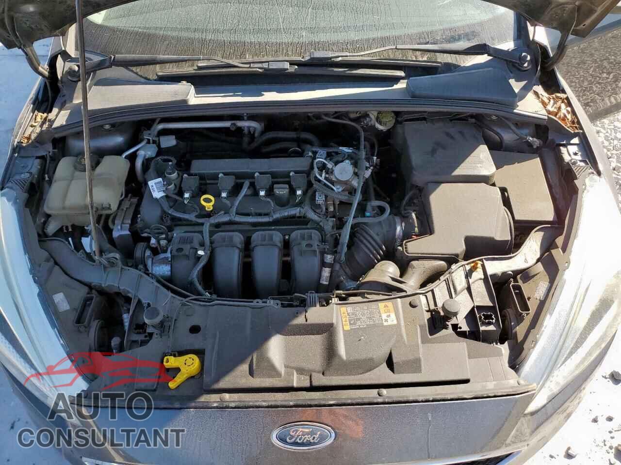 FORD FOCUS 2016 - 1FADP3K29GL359925