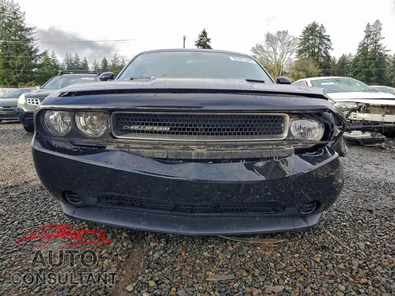 DODGE CHALLENGER 2013 - 2C3CDYAG3DH718689