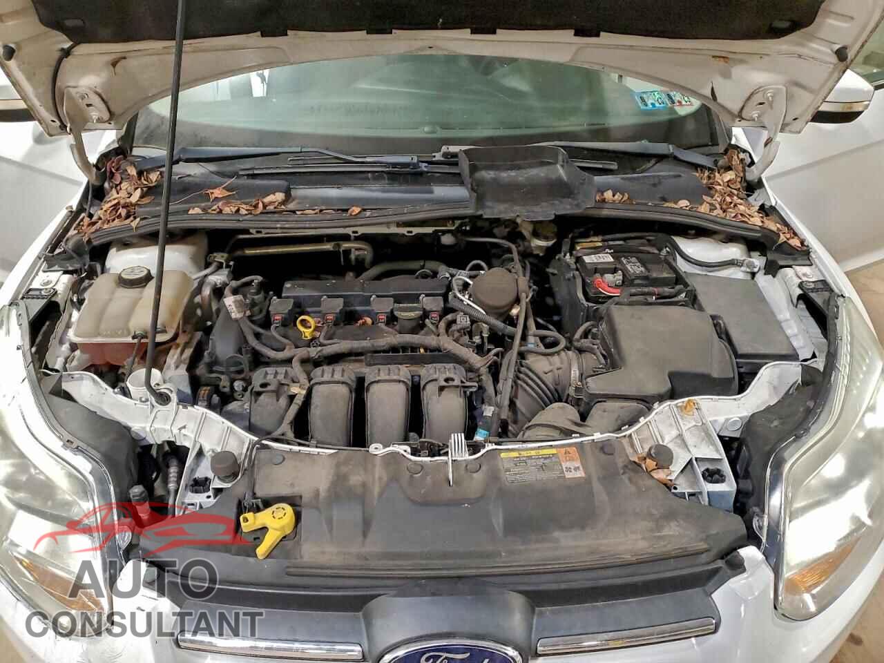 FORD FOCUS 2013 - 1FADP3F24DL171285