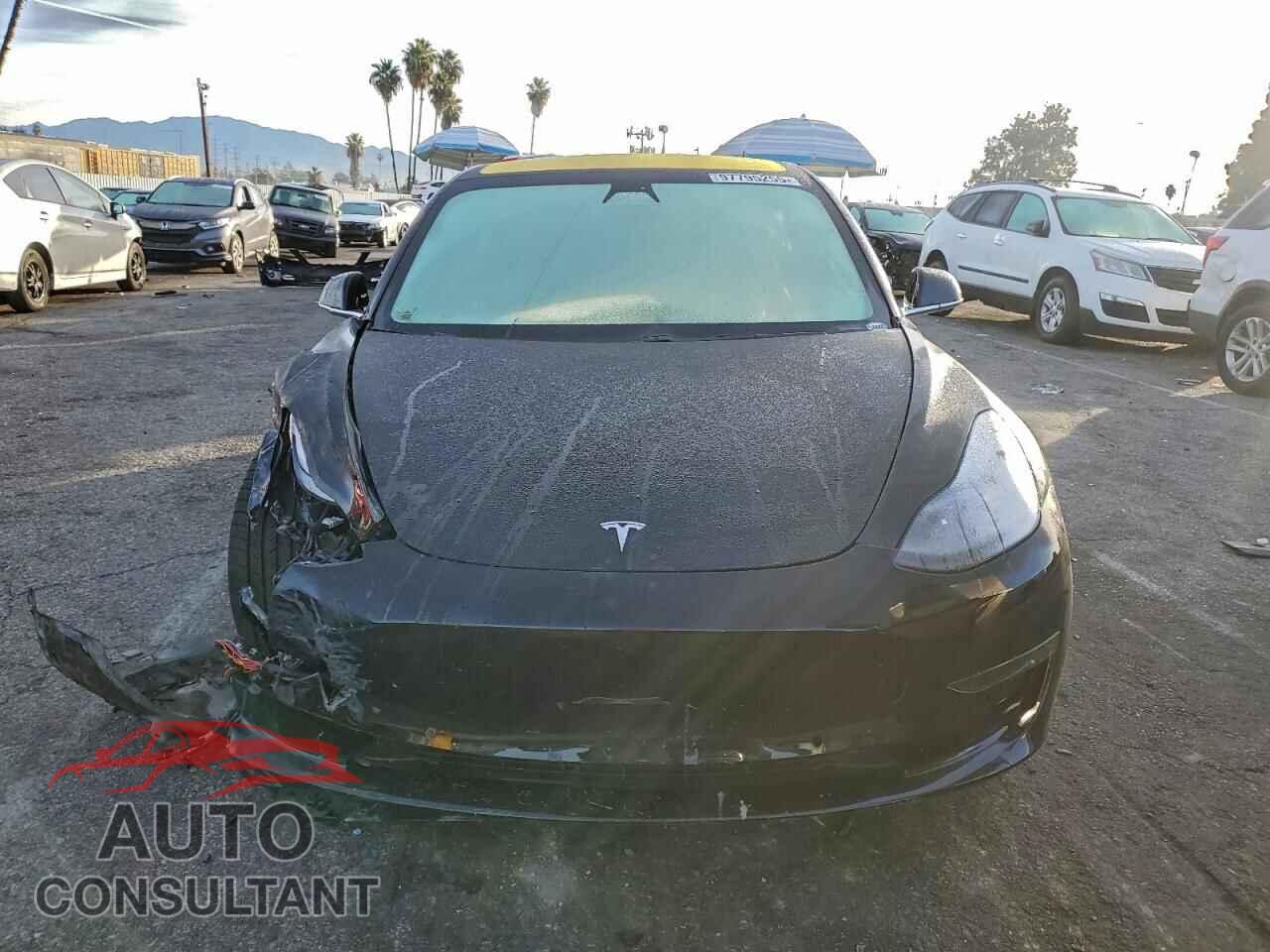 TESLA MODEL 3 2019 - 5YJ3E1EB8KF196983