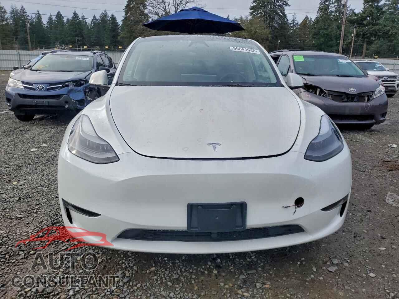 TESLA MODEL Y 2023 - 7SAYGDEEXPF830378