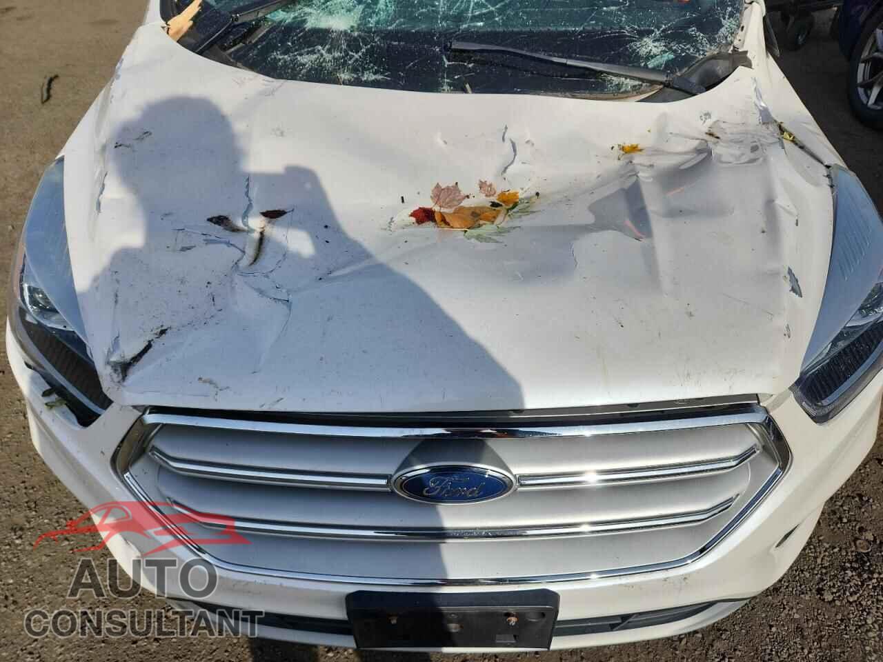 FORD ESCAPE 2018 - 1FMCU9HD1JUC66033