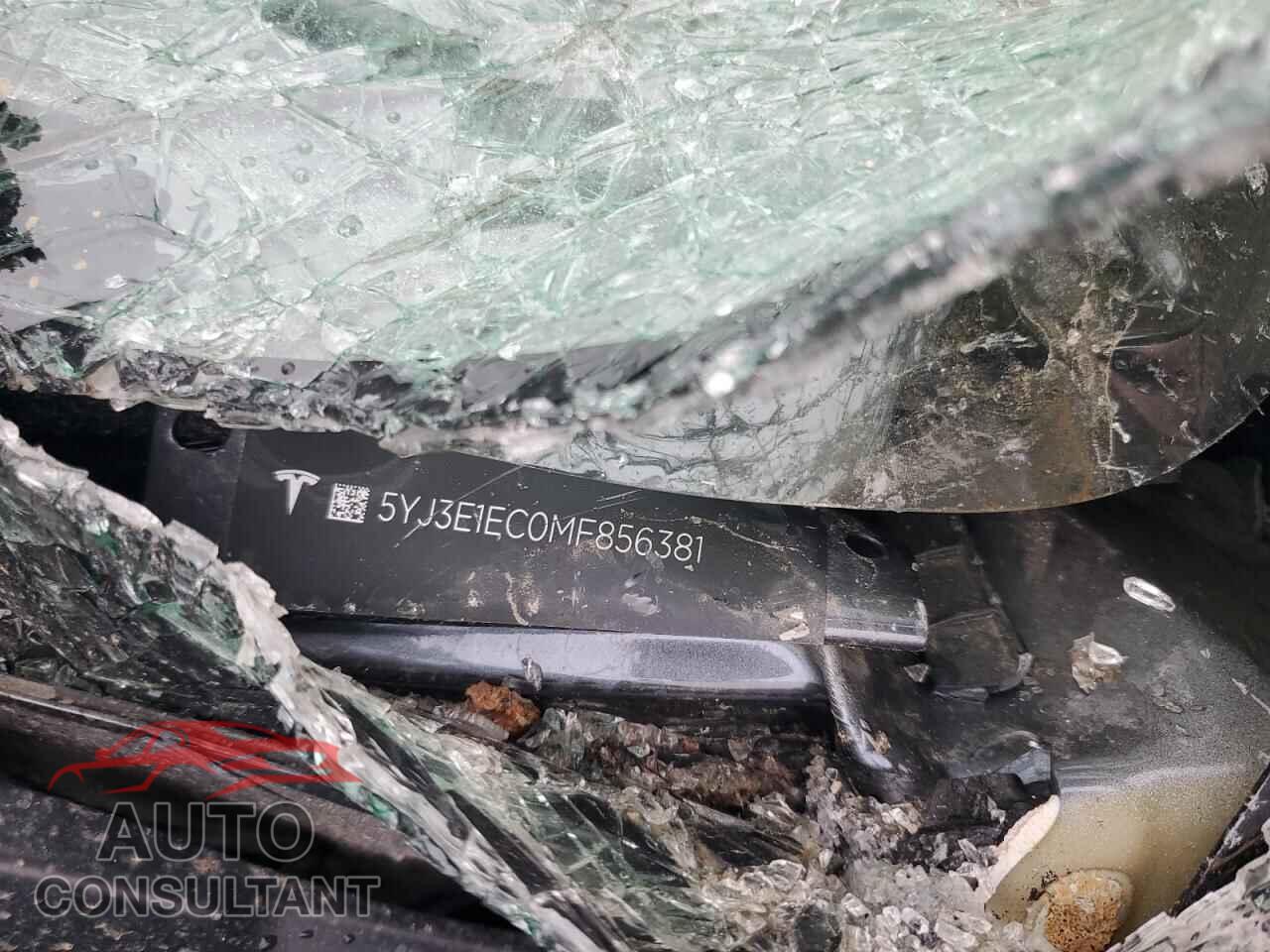 TESLA MODEL 3 2021 - 5YJ3E1EC0MF856381