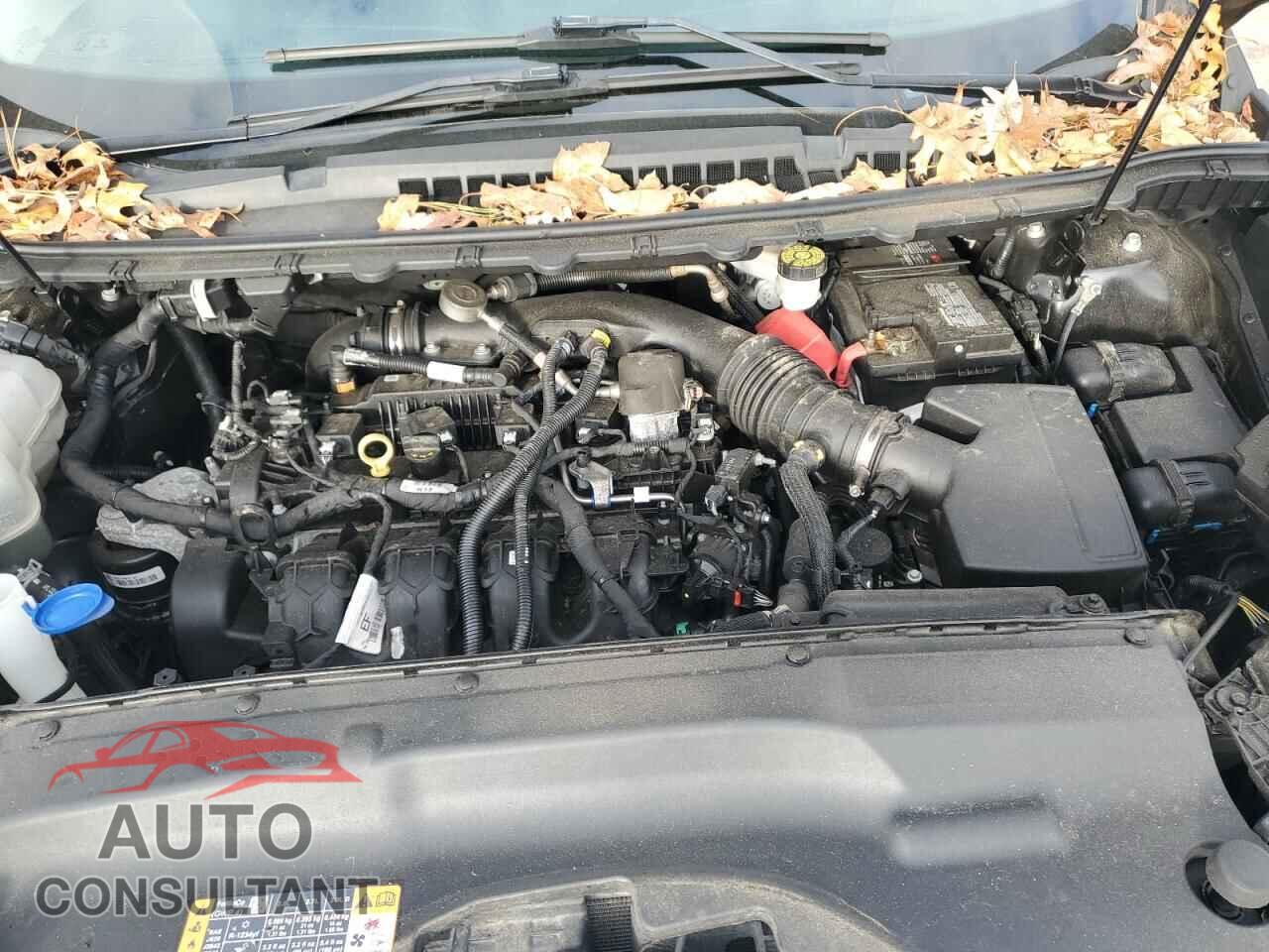 FORD EDGE 2020 - 2FMPK4K95LBA55702