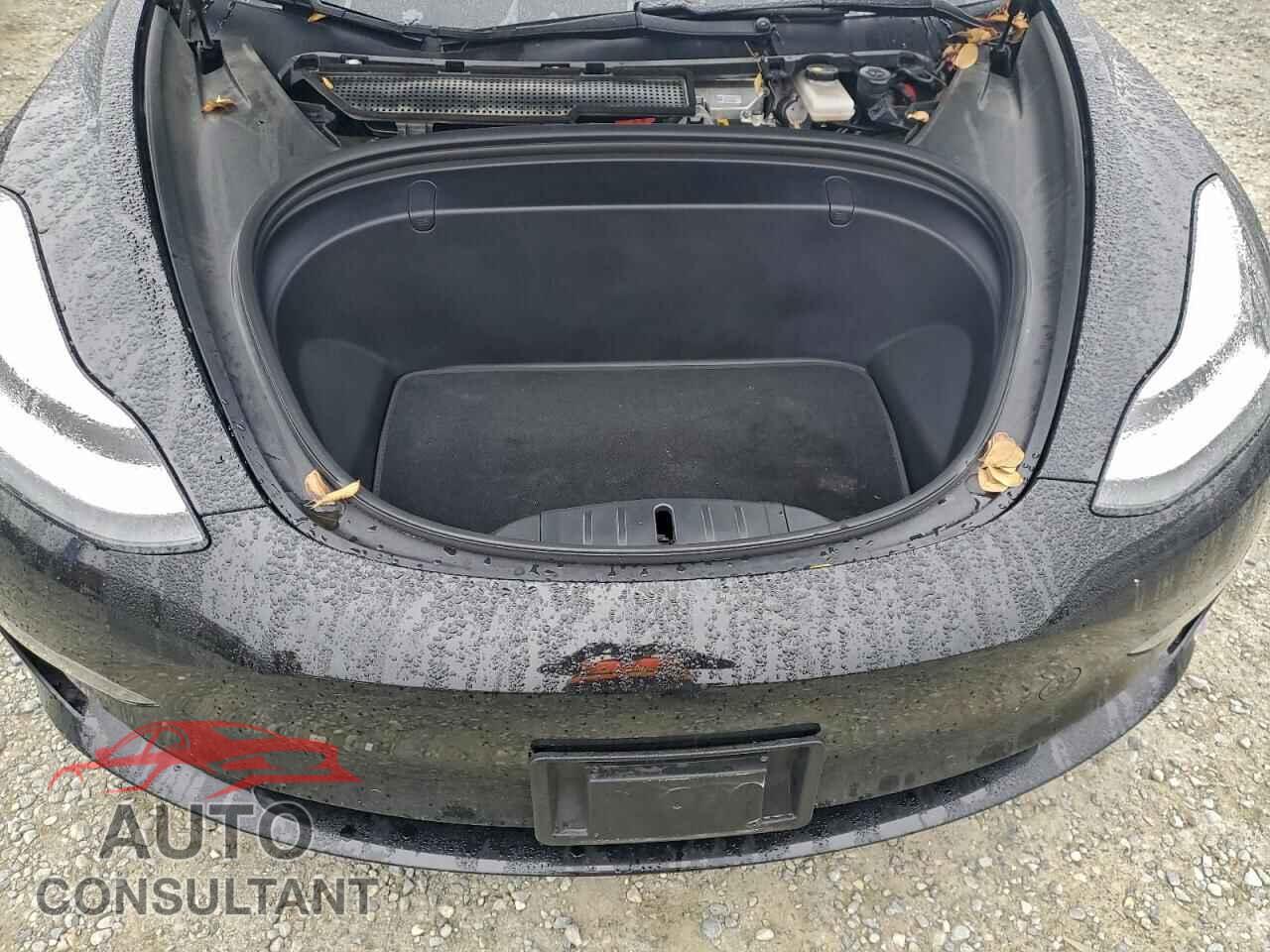 TESLA MODEL 3 2019 - 5YJ3E1EBXKF388616