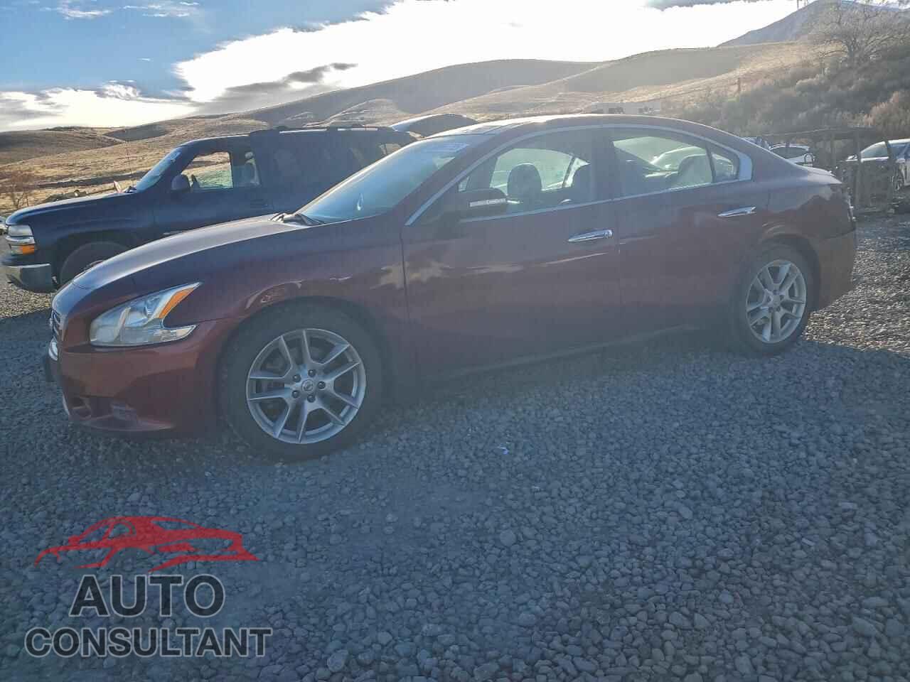 NISSAN MAXIMA 2011 - 1N4AA5AP6BC832931