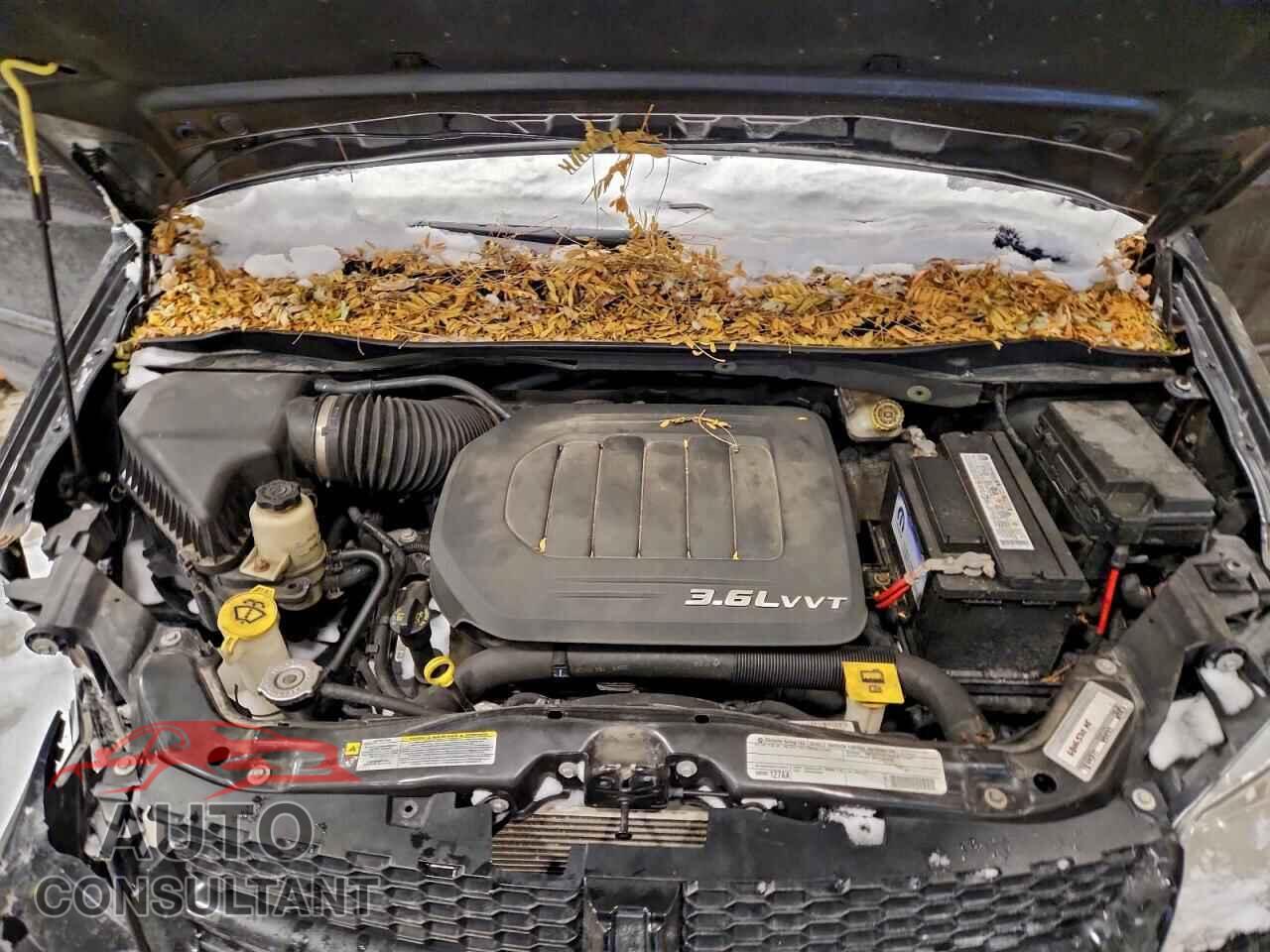 DODGE CARAVAN 2011 - 2D4RN7DG4BR696592