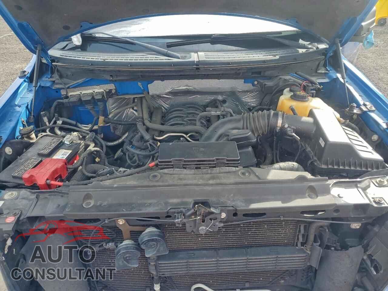 FORD F-150 2013 - 1FTFX1EF0DFD25517