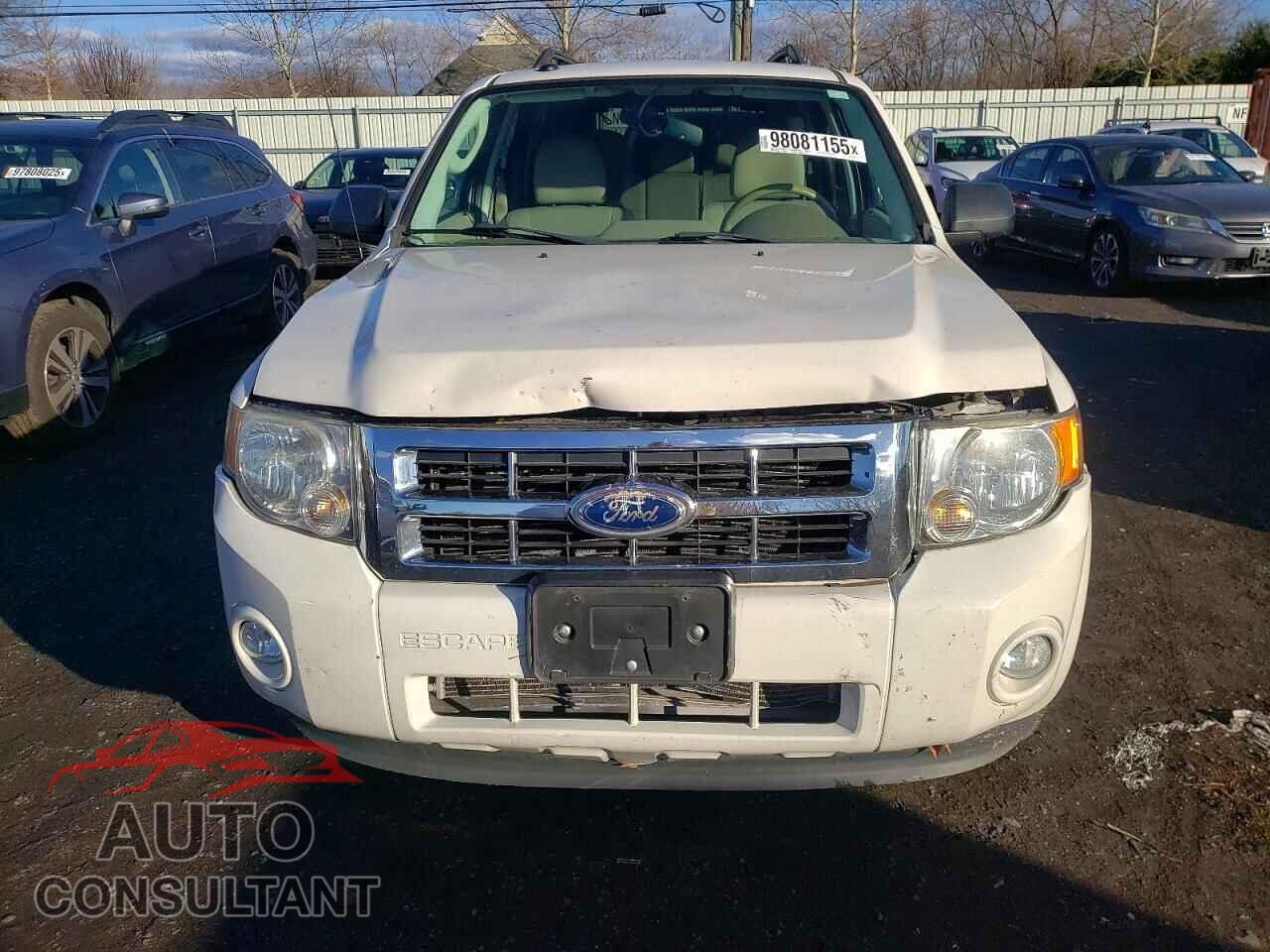 FORD ESCAPE 2011 - 1FMCU0D7XBKB08413