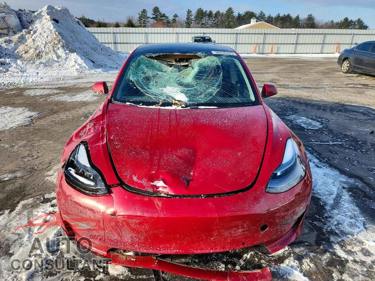 TESLA MODEL 3 2019 - 5YJ3E1EB8KF367330