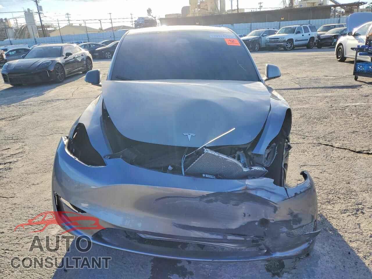 TESLA MODEL Y 2025 - 7SAYGDEF3SF299512