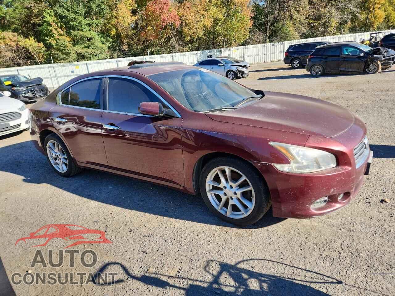 NISSAN MAXIMA 2011 - 1N4AA5AP2BC831923